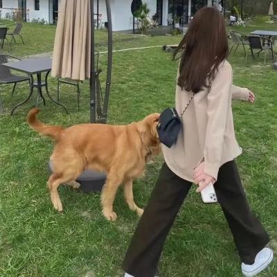 小迷糊大逃亡